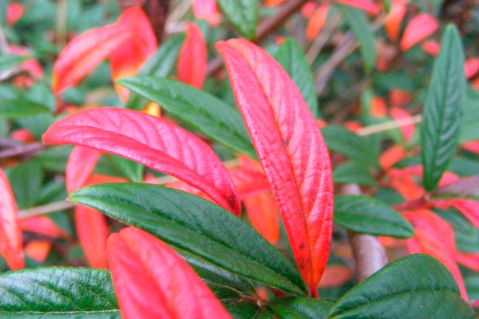 DSCF1567.JPG