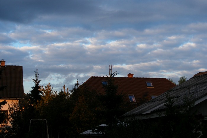 DSCF1574.JPG