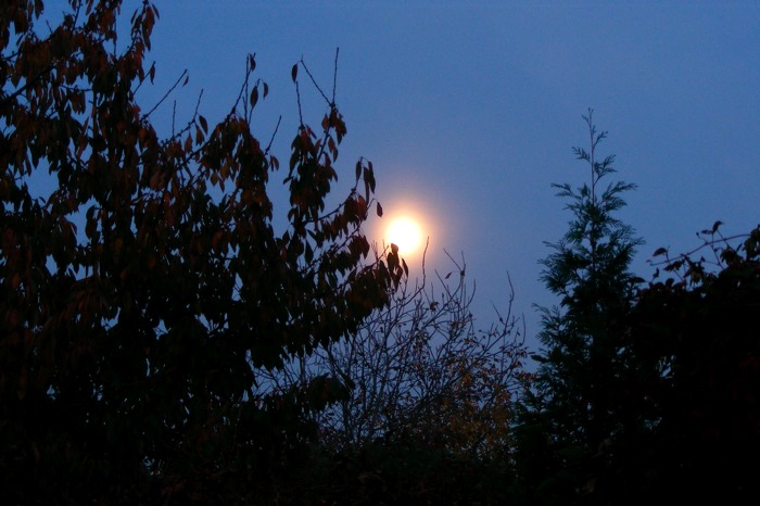 DSCF1598.JPG