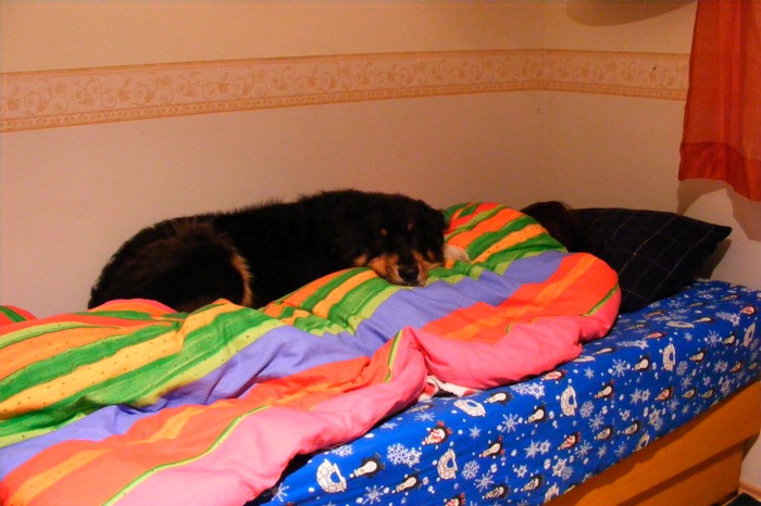 DSCF1650.JPG