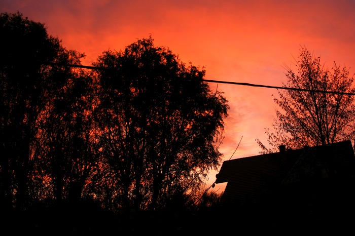 DSCF1732.JPG