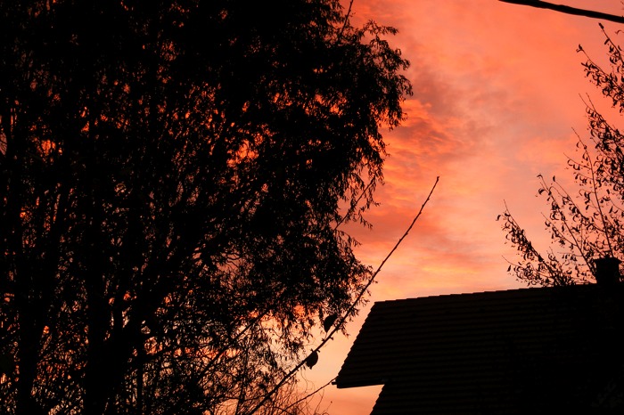 DSCF1733.JPG