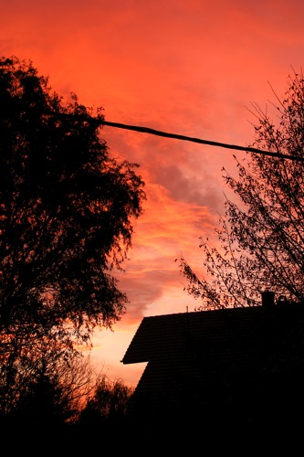 DSCF1736.JPG