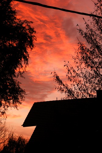 DSCF1740.JPG