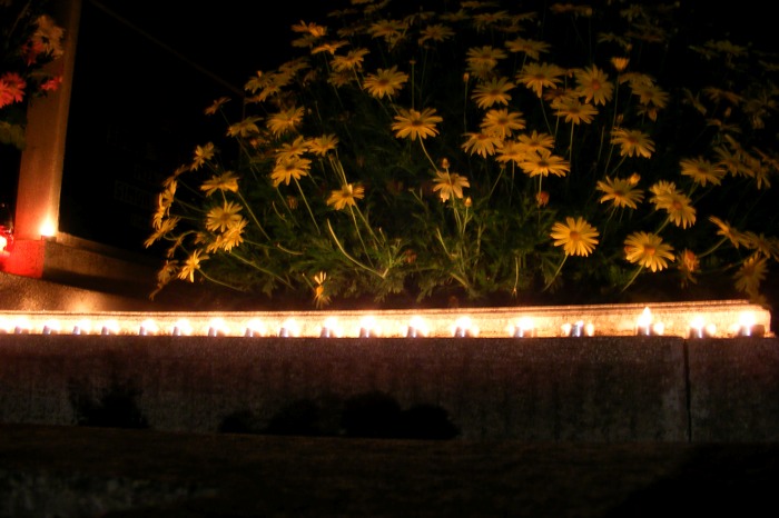 DSCF1743.JPG