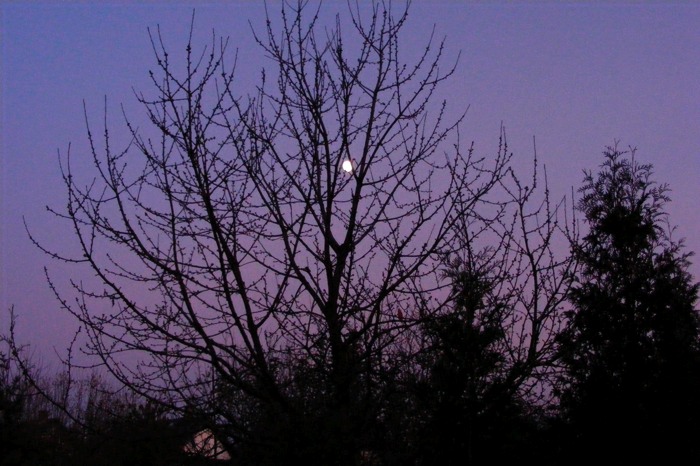 DSCF1941.JPG