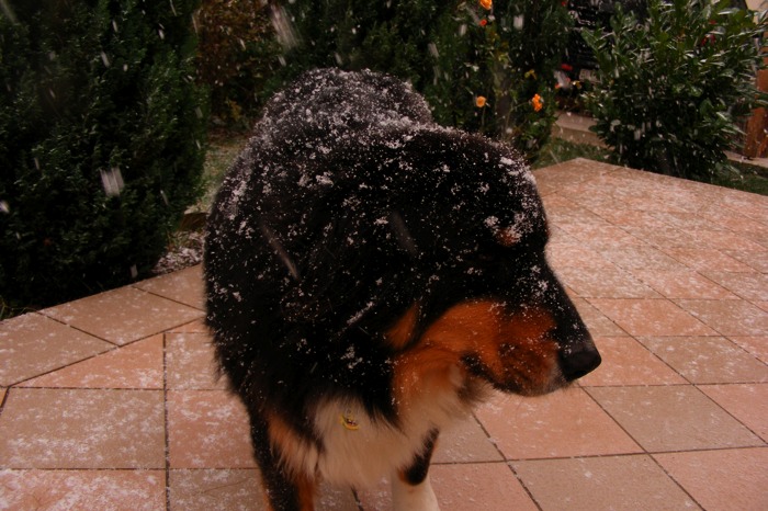 DSCF1951.JPG