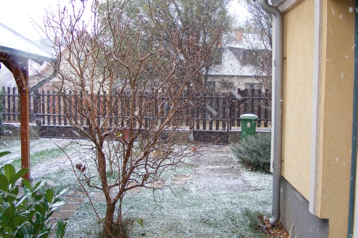 DSCF1954.JPG