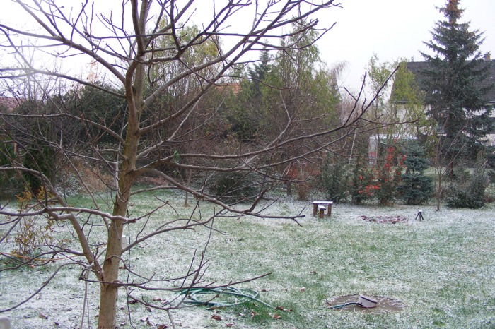DSCF1955.JPG