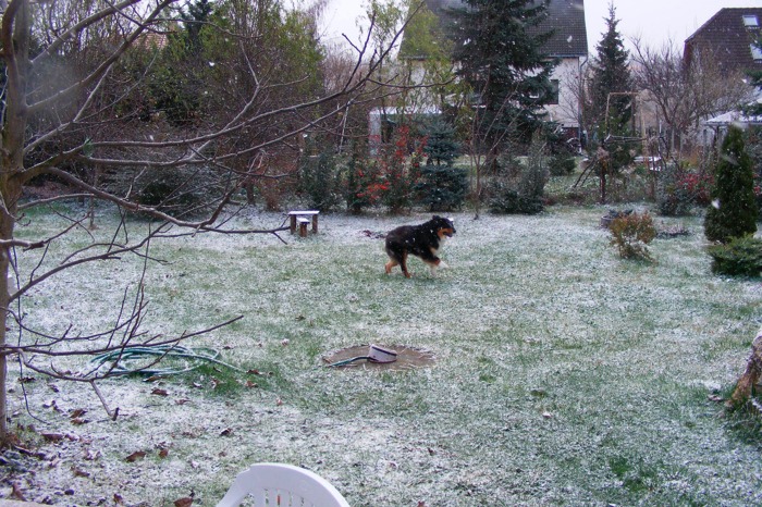 DSCF1957.JPG