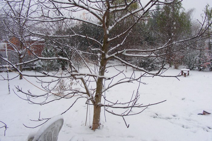 DSCF1975.JPG