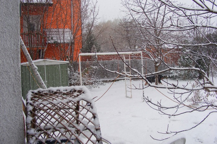 DSCF1979.JPG