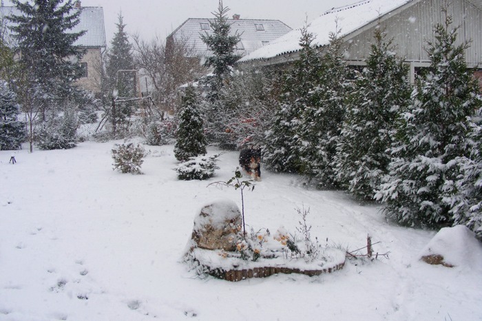 DSCF1980.JPG