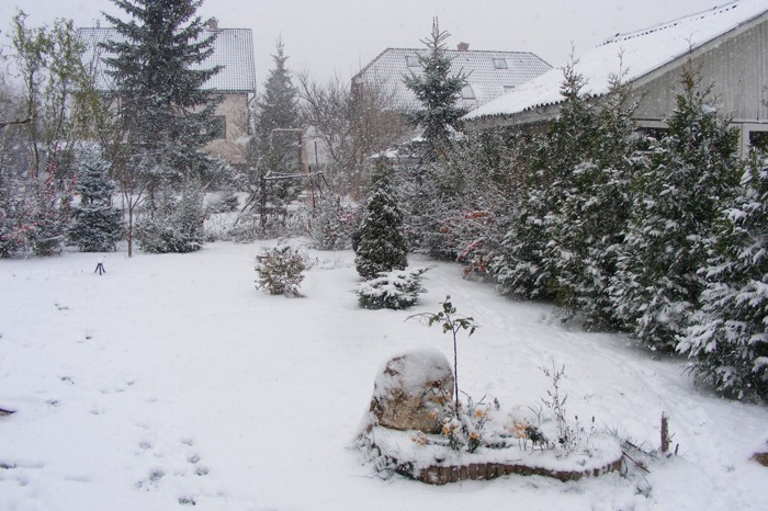 DSCF1983.JPG
