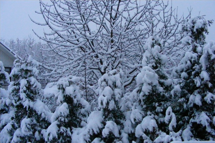 DSCF1994.JPG