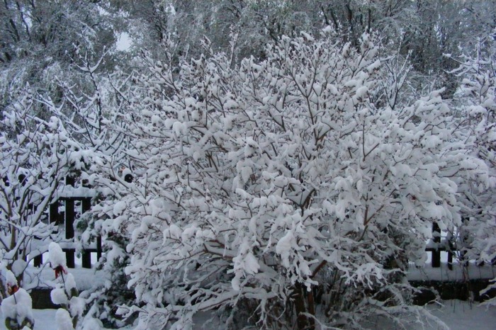 DSCF1996.JPG