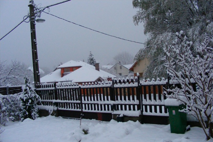 DSCF1997.JPG