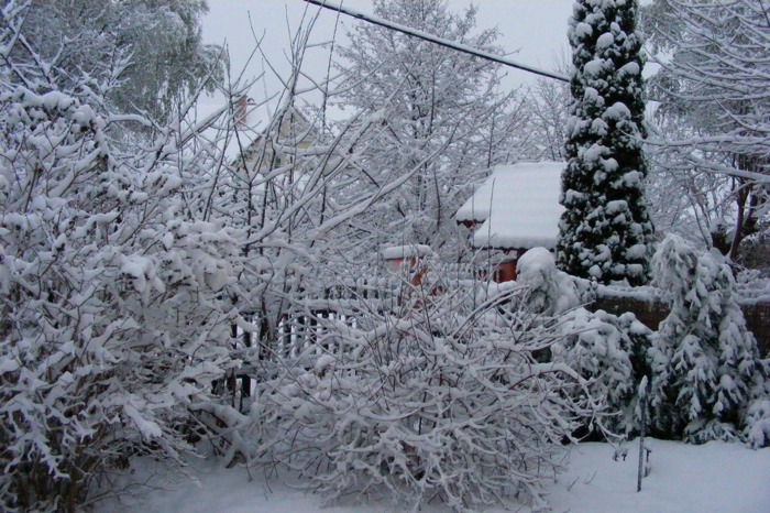 DSCF1998.JPG