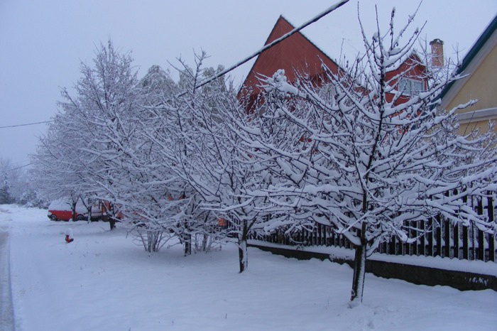 DSCF2004.JPG