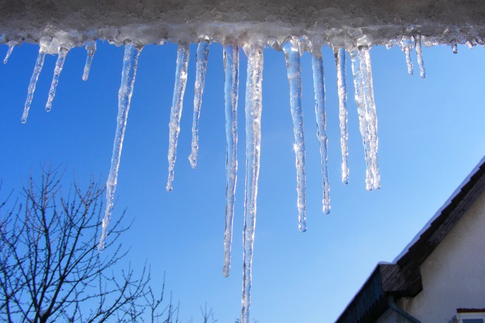 DSCF2056.JPG