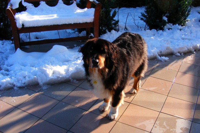 DSCF2059.JPG