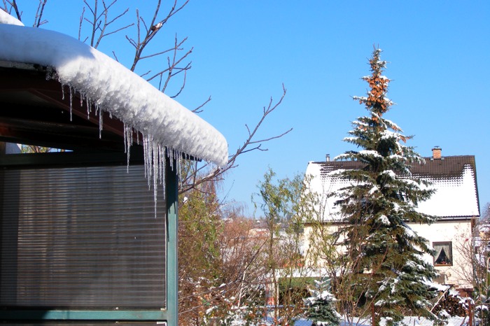 DSCF2061.JPG