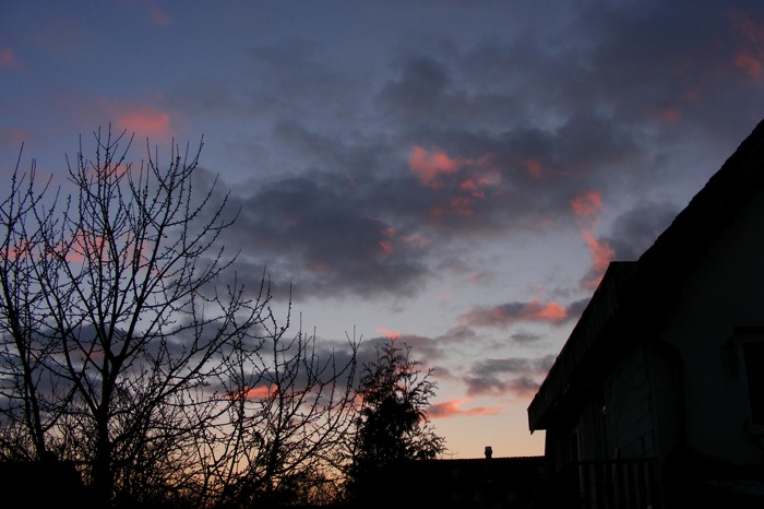 DSCF2083.JPG