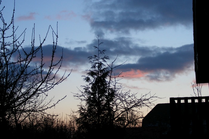 DSCF2086.JPG
