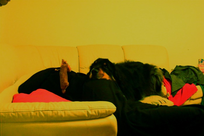 DSCF2087.JPG