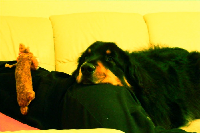 DSCF2088.JPG