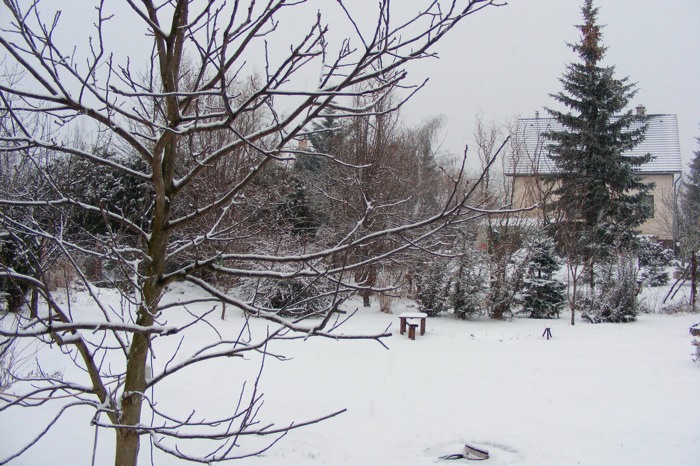 DSCF2105.JPG