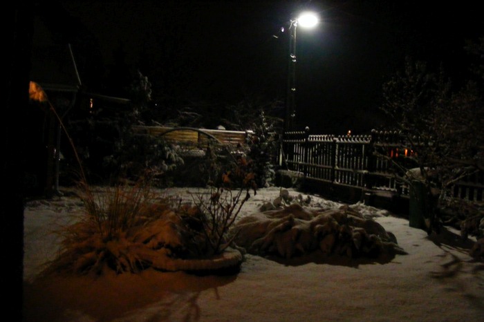 DSCF2112.JPG