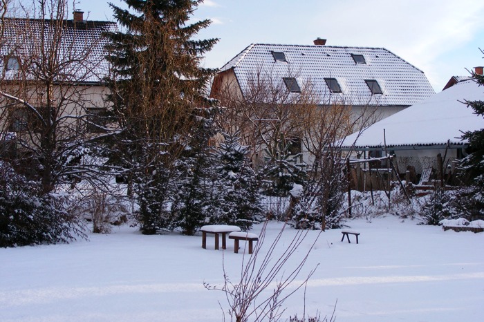 DSCF2123.JPG