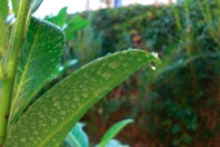 CIMG0084.JPG