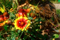 CIMG0105.JPG