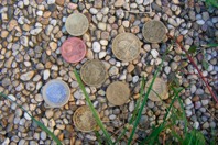 Coins.JPG