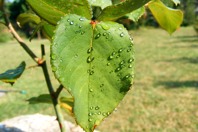 DSCF1046.JPG