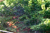 DSCF1108.JPG