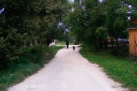 DSCF1298