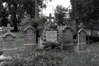 DSCF1312