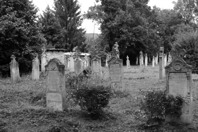 DSCF1313