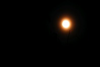 DSCF1600.JPG