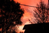 DSCF1735.JPG