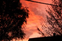 DSCF1736.JPG