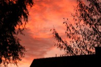 DSCF1740.JPG