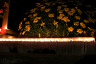 DSCF1743.JPG
