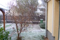 DSCF1954.JPG
