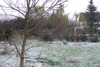 DSCF1955.JPG