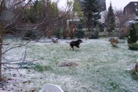 DSCF1957.JPG