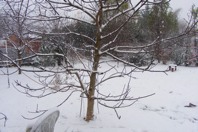 DSCF1975.JPG